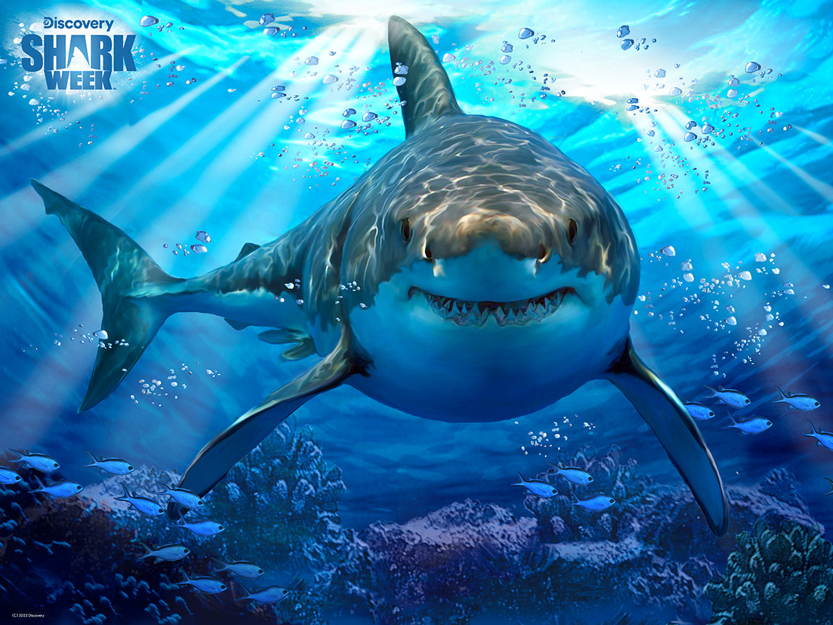 Puzzlr Great White Shark Discovery - Shark Week 3D Jigsaw Puzzle 10324 500pc 24x18"