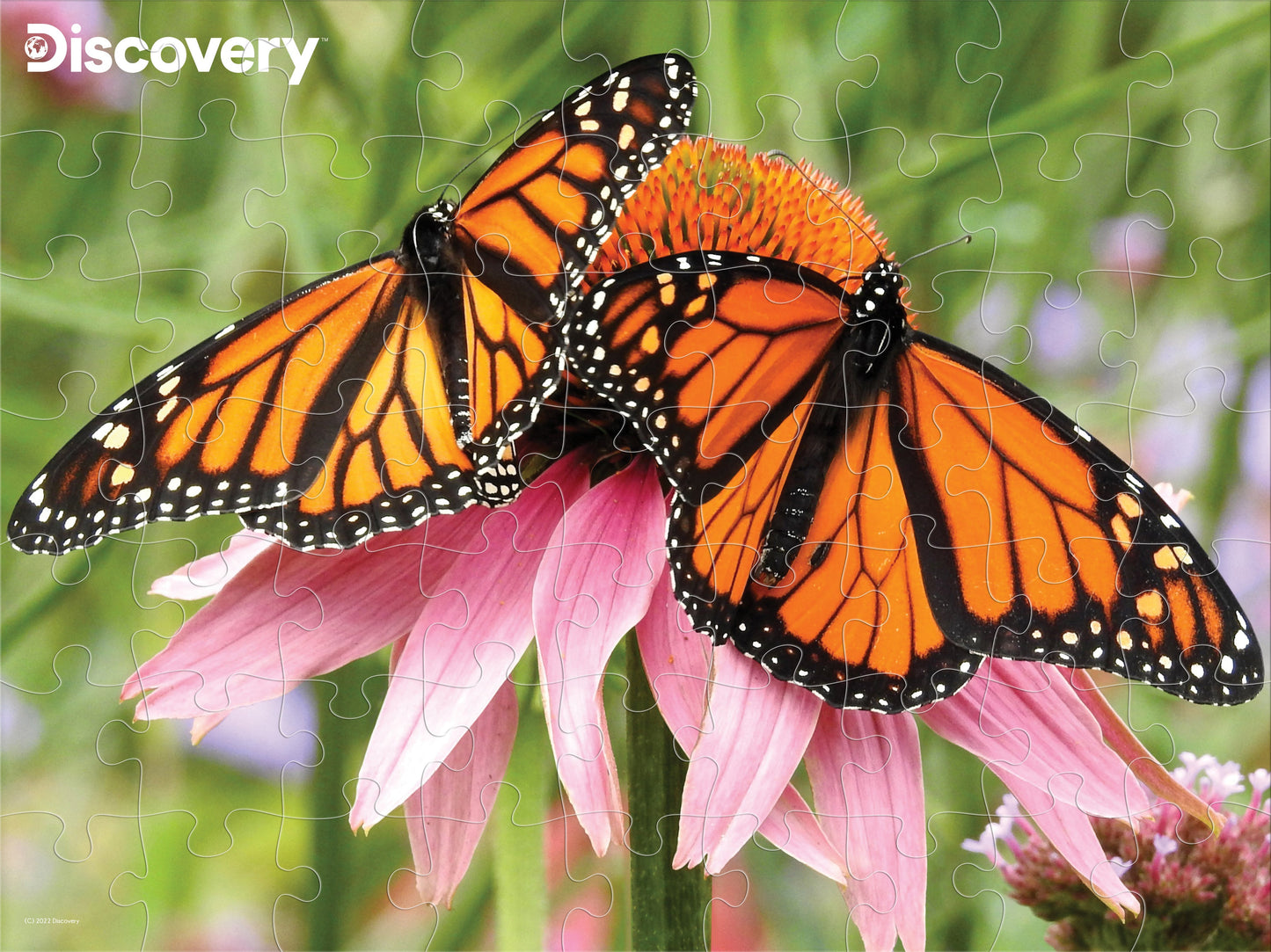 10654 Monarch Butterfly Discovery 3D Jigsaw Puzzle 10654 63pc 12"x9"
