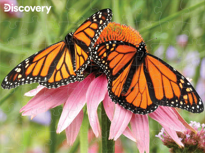 10654 Monarch Butterfly Discovery 3D Jigsaw Puzzle 10654 63pc 12"x9"