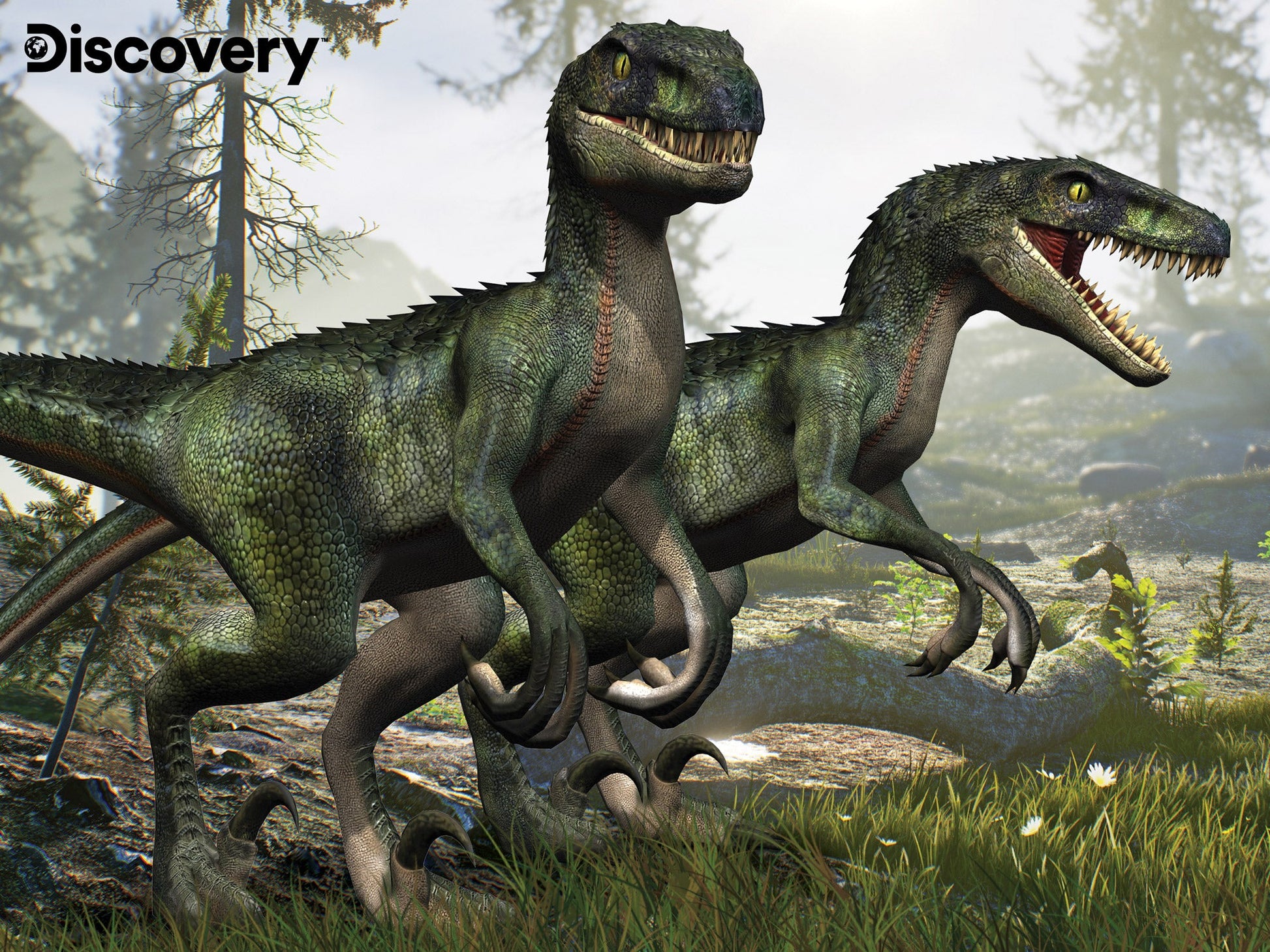 Puzzlr Velociraptor Discovery 3D Jigsaw Puzzle 10682 100pc 12x9"