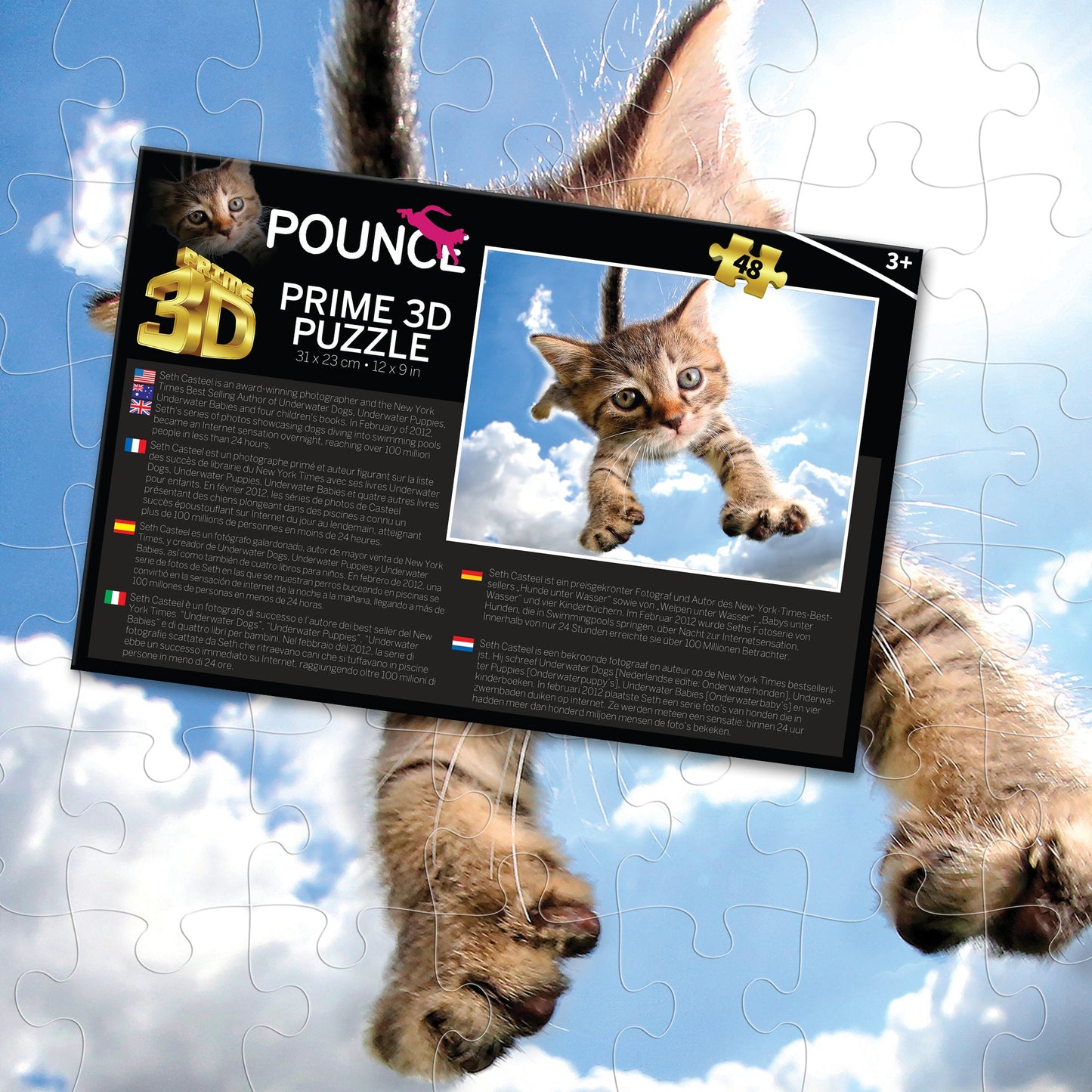 10724 Sparkles in the Sky Pounce Seth Casteel 3D Jigsaw Puzzle 10724 48PC 12"x9"