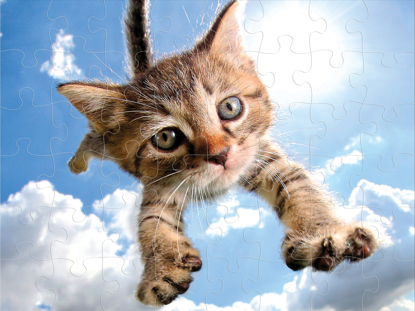 10724 Sparkles in the Sky Pounce Seth Casteel 3D Jigsaw Puzzle 10724 48PC 12"x9"