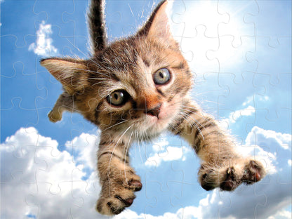 10724 Sparkles in the Sky Pounce Seth Casteel 3D Jigsaw Puzzle 10724 48PC 12"x9"