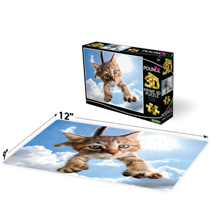 10724 Sparkles in the Sky Pounce Seth Casteel 3D Jigsaw Puzzle 10724 48PC 12"x9"