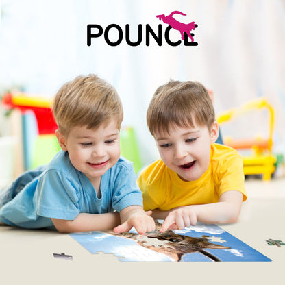 10724 Sparkles in the Sky Pounce Seth Casteel 3D Jigsaw Puzzle 10724 48PC 12"x9"