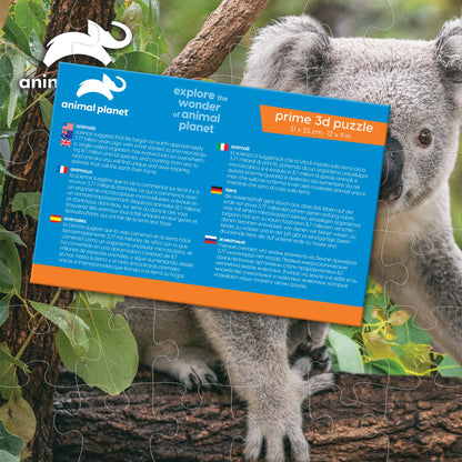 10790 Koala Discovery 3D Jigsaw Puzzle 10790 48PC 12"x9"