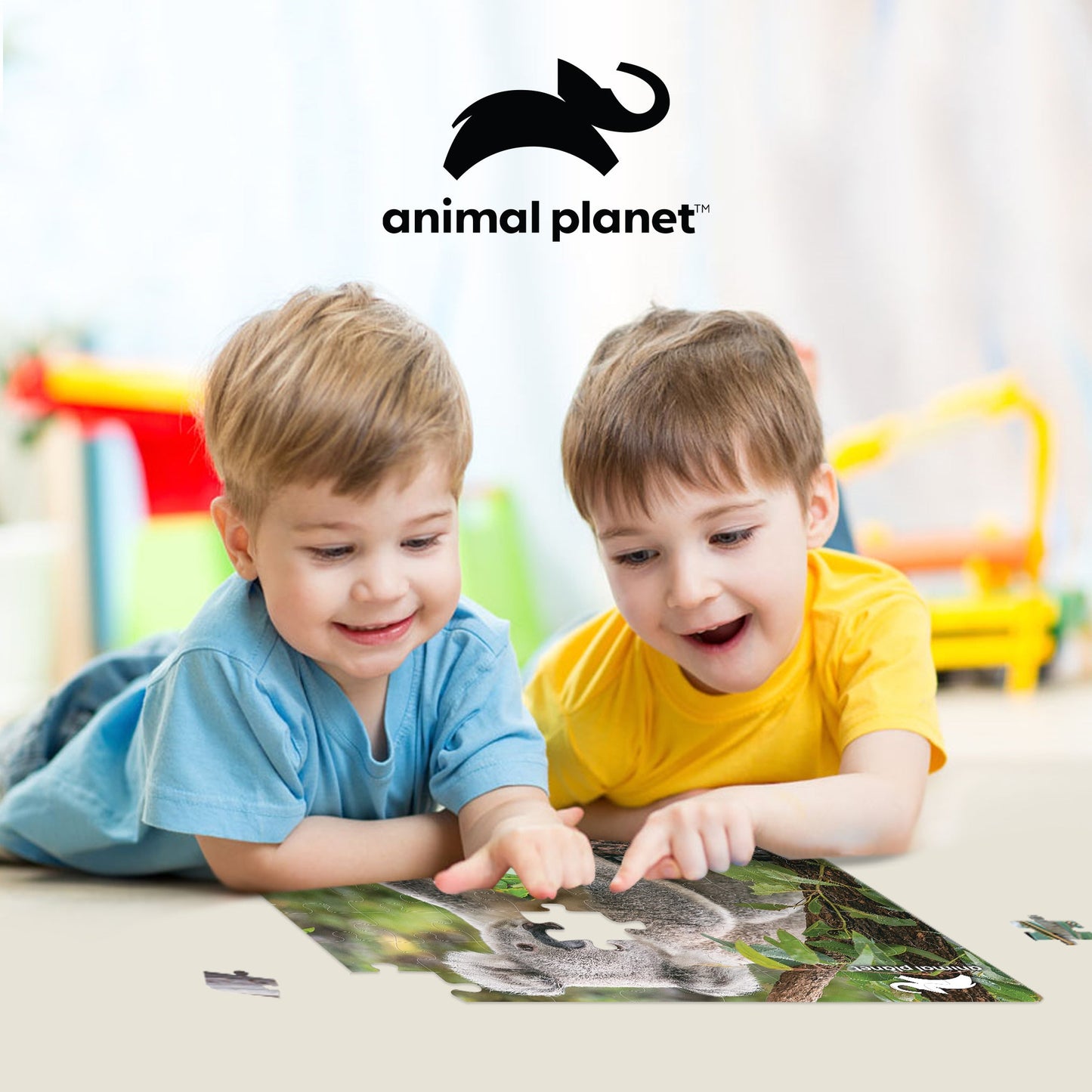 10790 Koala Discovery 3D Jigsaw Puzzle 10790 48PC 12"x9"