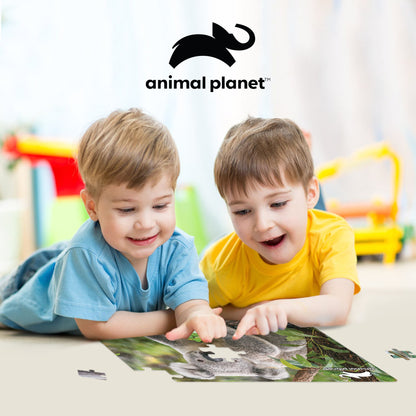 10790 Koala Discovery 3D Jigsaw Puzzle 10790 48PC 12"x9"