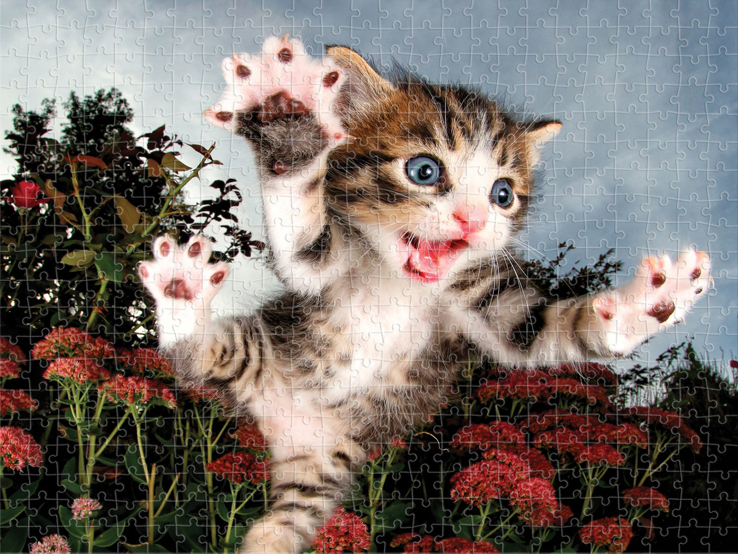 20013 Chicken Pounce Seth Casteel 3D Jigsaw Puzzle 20013 500pc 24"x18"