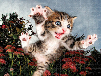 20013 Chicken Pounce Seth Casteel 3D Jigsaw Puzzle 20013 500pc 24"x18"