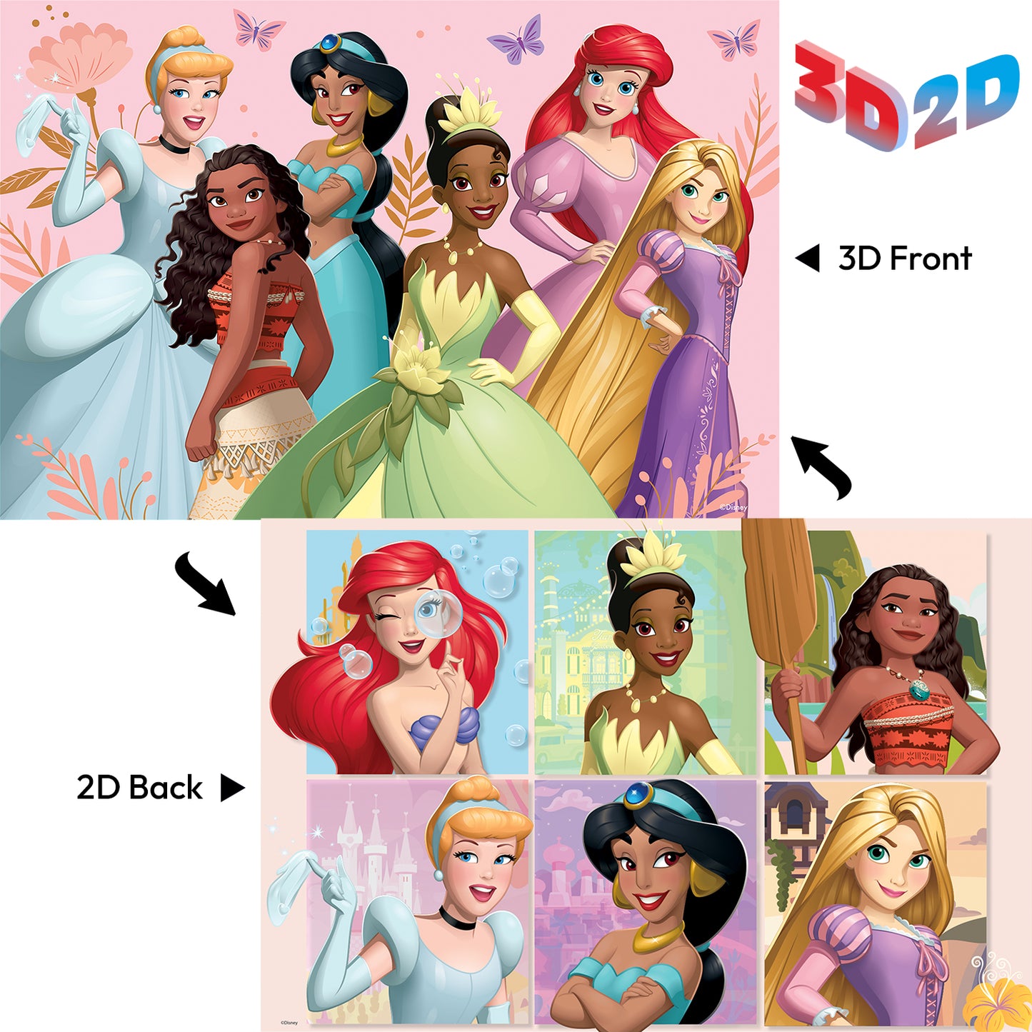 37550 3D/2D Disney Princess 200pc 12x18"