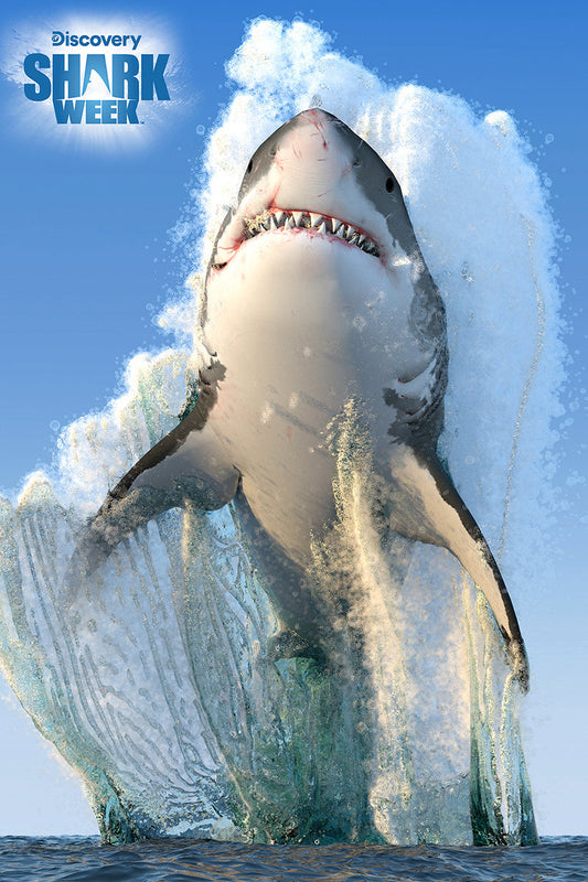 Puzzlr Great White Shark Shark Week 3D Jigsaw Puzzle 20887 150pc 18x12"