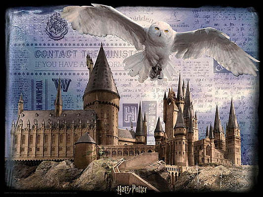 Puzzlr Hogwarts and Hedwig Harry Potter 3D Jigsaw Puzzle 32513 500pc 24x18"